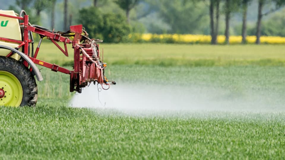 Ein Feld wird mit Pestiziden bespritzt.