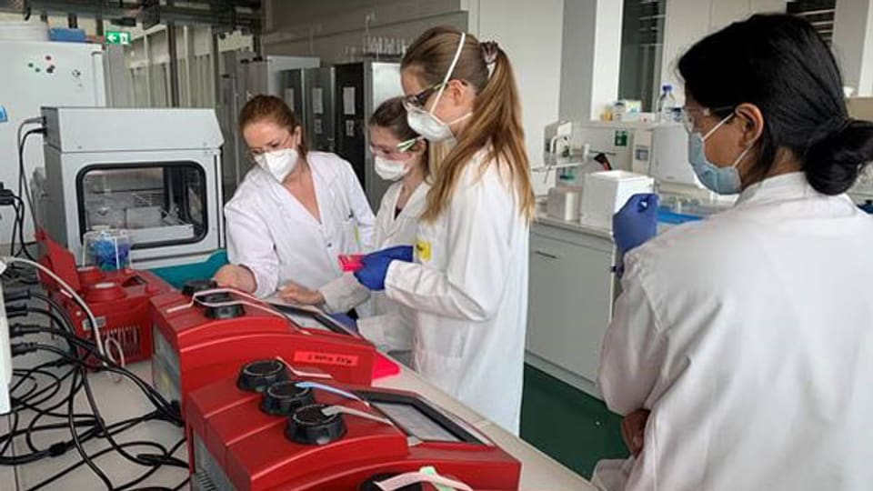Studentinnen der Fachhochschule Nordwestschweiz im Labor.