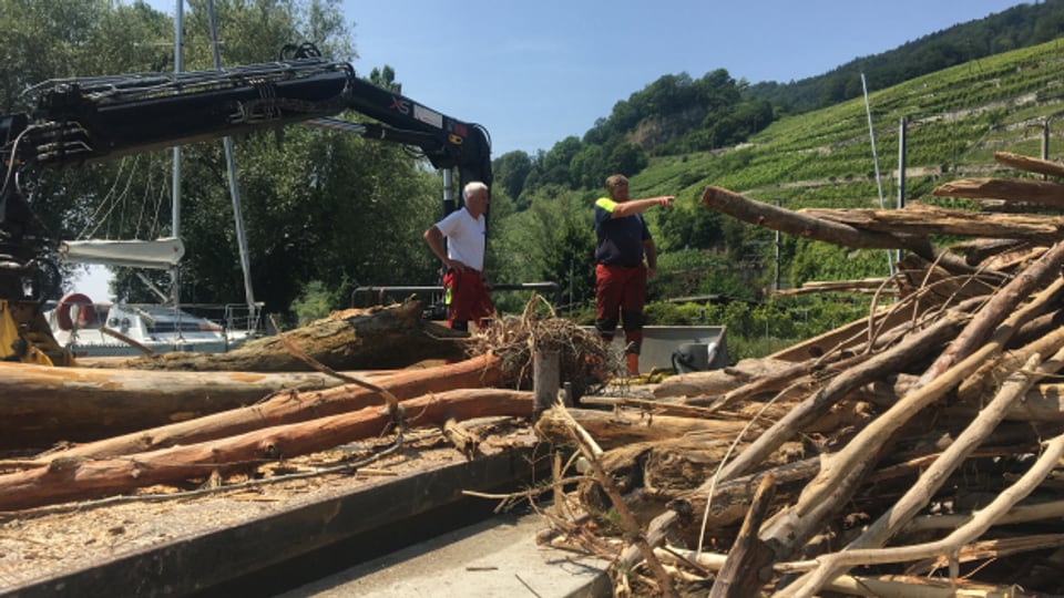 Bielersee: die grossen Bergungsarbeiten.