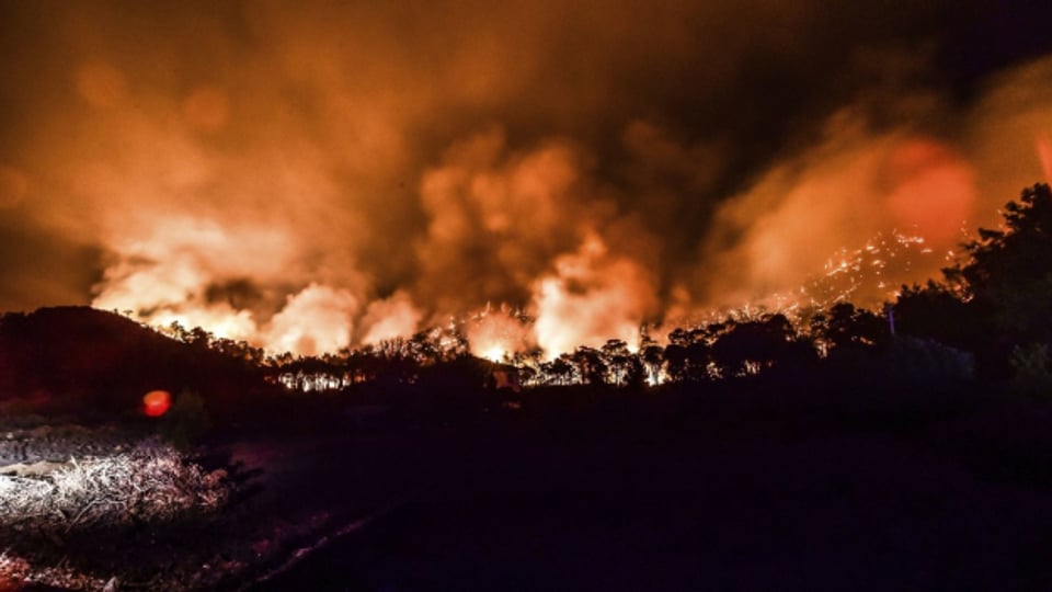 Südeuropa: der Kampf gegen die Waldbrände geht weiter.