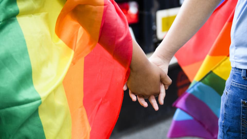 Die Übergriffe haben mit der Abstimmung über die Ehe für alle zu tun, sagt die Schwulen-Organisation Pink Cross.