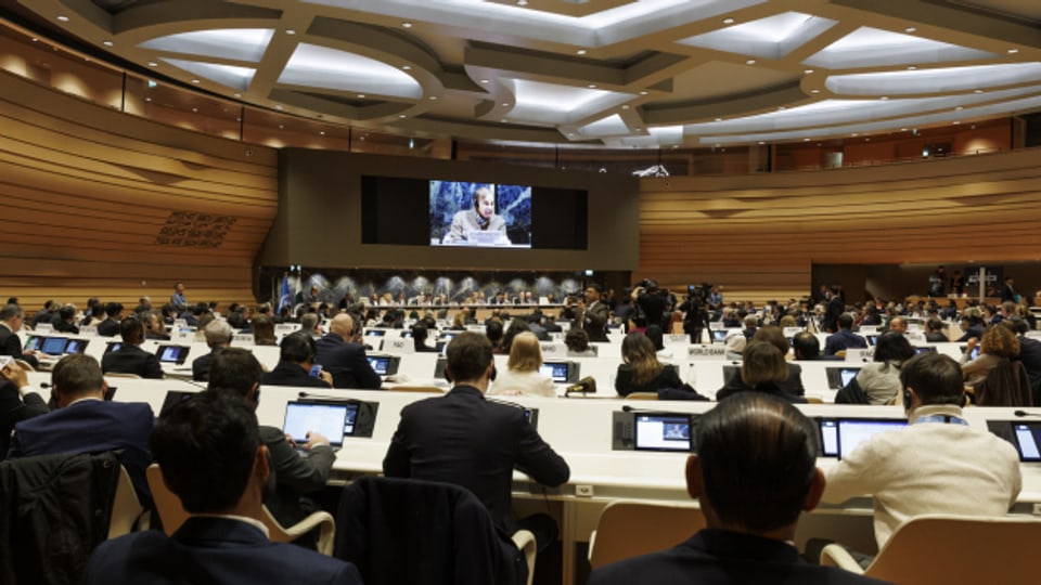 Der pakistanische Premierminister Shehbaz Sharif bei seiner Rede während der UNO-Konferenz über ein klimaresilientes Pakistan.