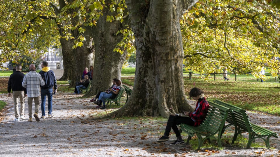 Die Stadt Genf will der sommerlichen Hitze in erster Linie mit mehr Bäumen entgegenwirken.