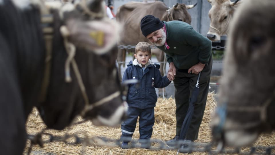 Geteilte Sorgen: Grossvater und Enkel an der Appenzeller Viehschau