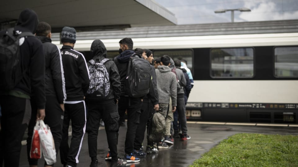 Drei Viertel der Betroffenen haben die Krankheit via Migration in die Schweiz gebracht.