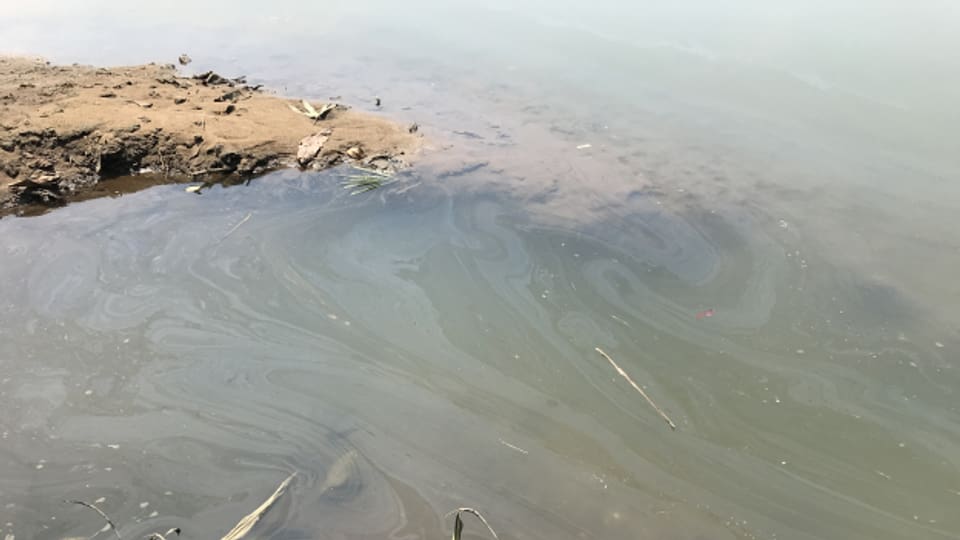 Ein Augenschein vor Ort zeigt, wie stark das Wasser im Nigerdelta verschmutzt ist.