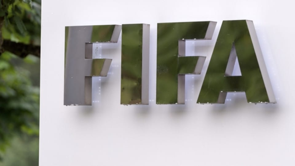 Diese Woche tagte zum ersten Mal der neue Menschenrechtsrat der FIFA.