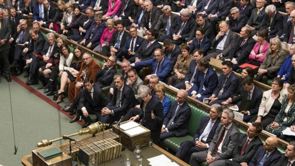 Das Britische Parlament hat alle acht Alternativvorschläge zum Brexit-Vertrag der Regierung abgelehnt.