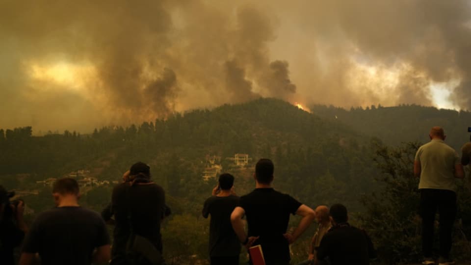 Südwesteuropa leidet diesen Sommer unter besonders heftigen Waldbränden.