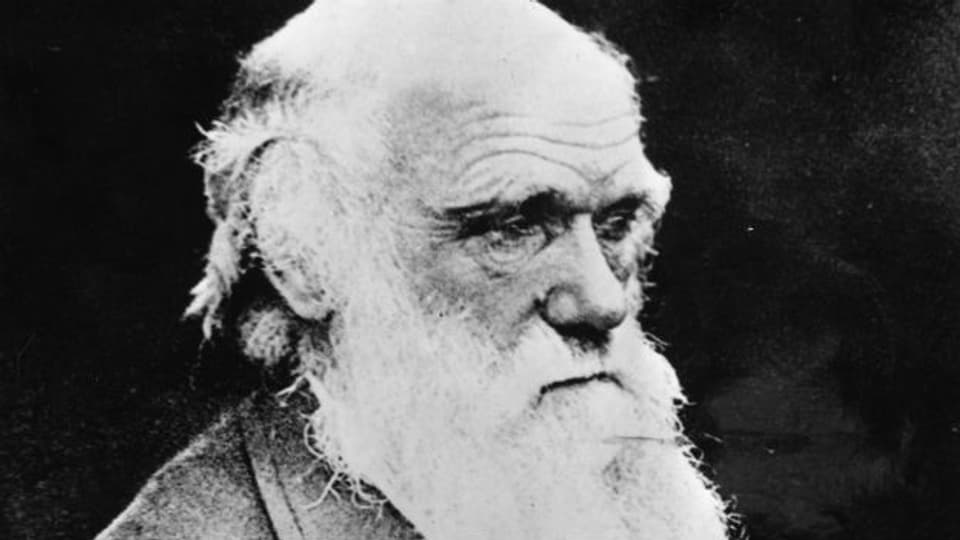 Charles Darwin, Begruender der Evolutionstheorie.