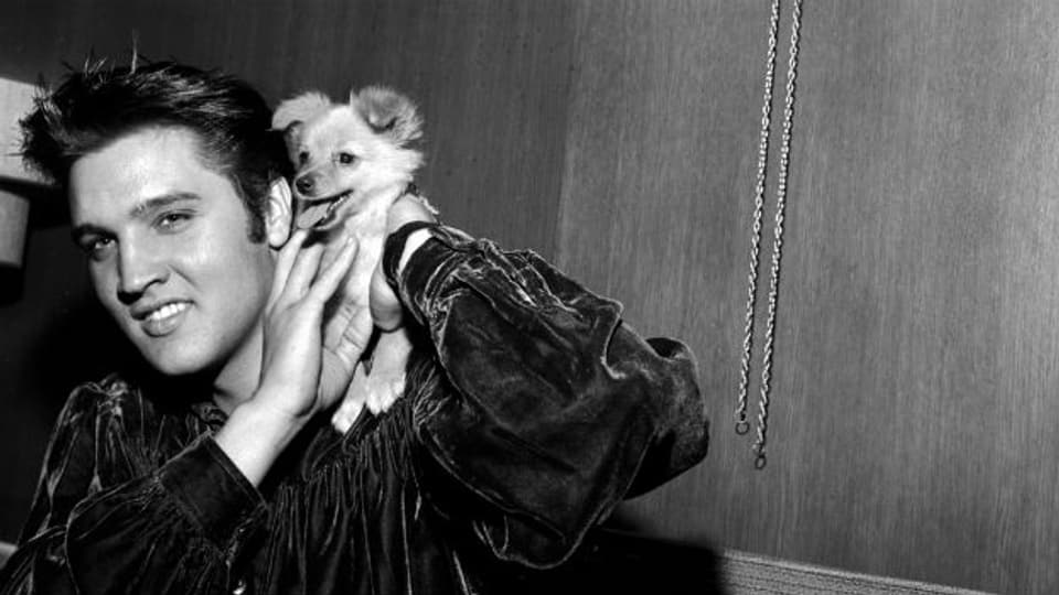 Elvis Presley Kurz Vor Tod Heute vor 39 Jahren: Tod von Elvis Presley - Tageschronik - SRF