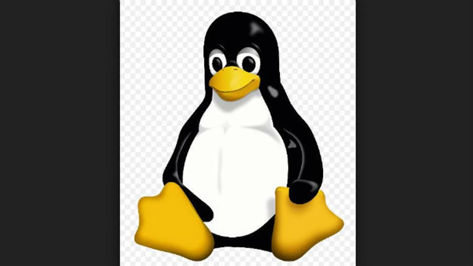 Heimlicher Alleskönner: Betriebssystem Linux.
