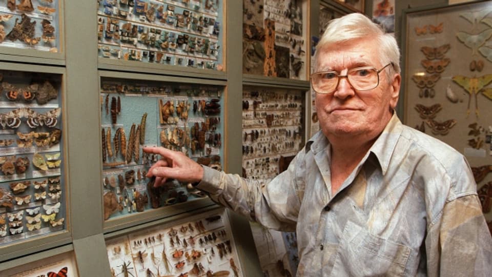 Der Insektenforscher und Tiermaler in seinem Atelier in Ebikon im Mai 1999.