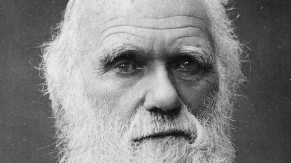 Darwin, der Begründer der Evolutionstheorie, gegen die sich der Butler-Act richtete