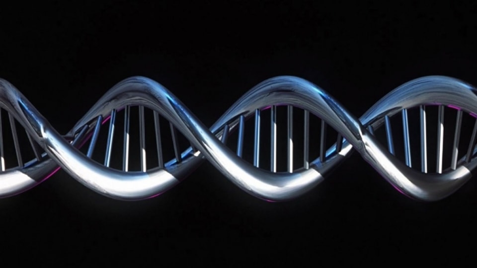 Die DNA-Doppelhelix