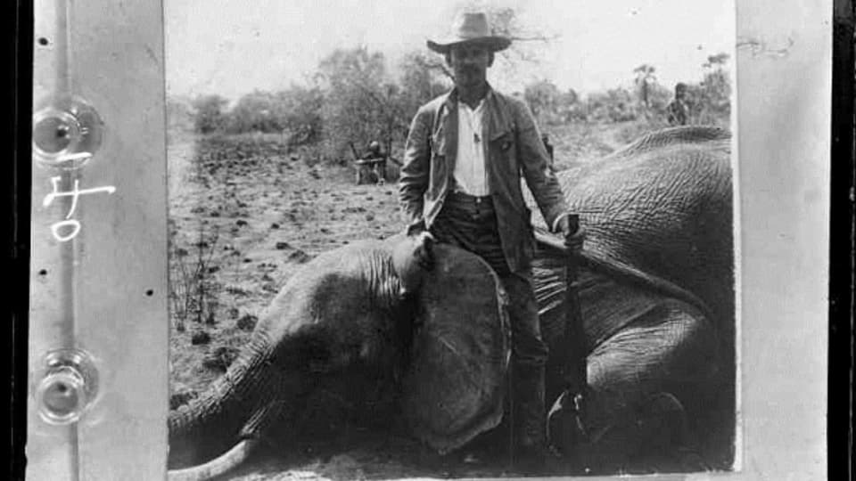 Adam David posiert mit Gewehr auf Elefant