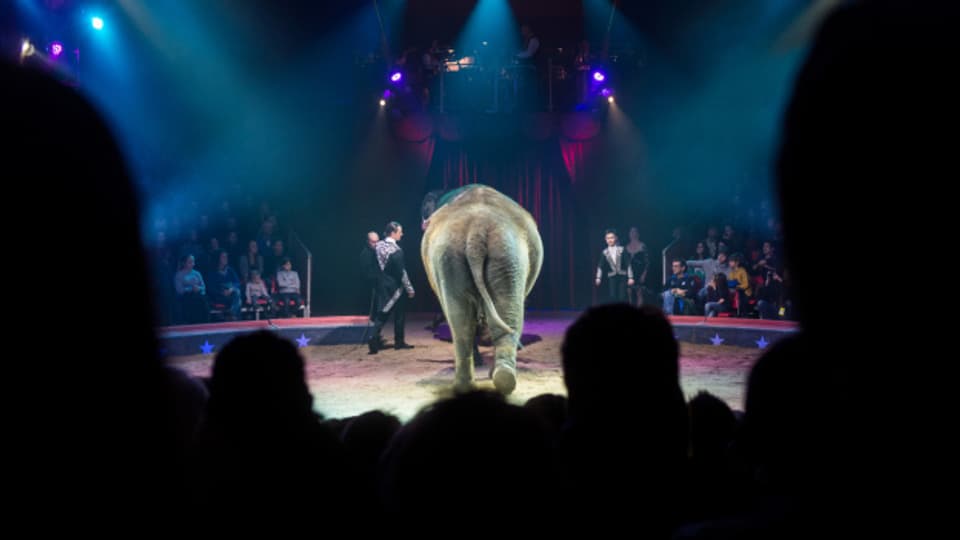 Die letzte Elefantennummer im Zirkus Knie