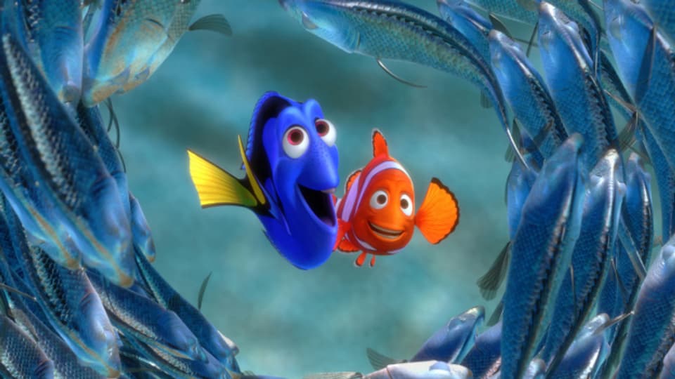 Marlin und Dory auf der Suche nach Nemo.
