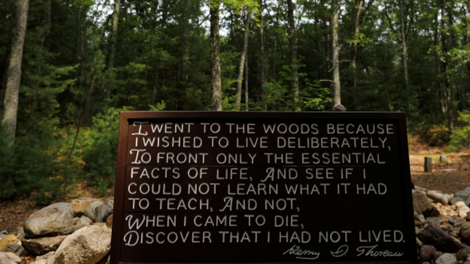 Ein Zitat aus «Walden» steht heute dort, wo früher Thoreaus Hütte stand.