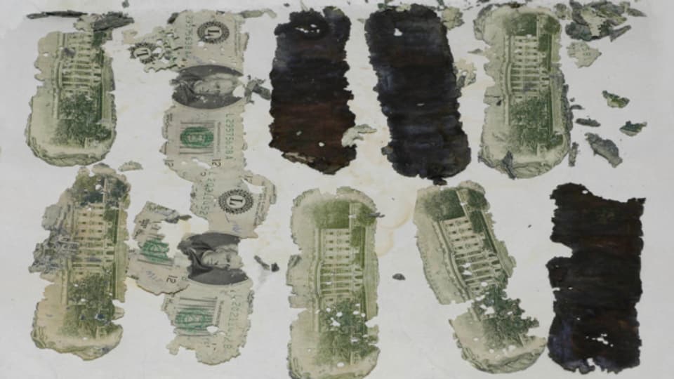 Einige der von D. B. Cooper erbeuteten 20-Dollar-Noten, die ein 8-Jähriger 1980 fand