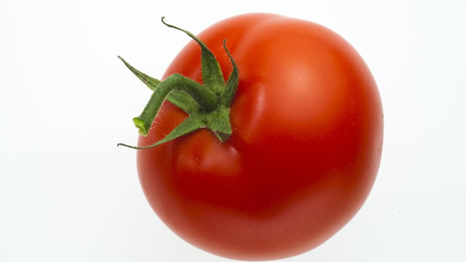 Die Tomate auf dem Teller ist so beliebt wie kein anderes Gemüse: Über 10 Kilo beträgt der Pro-Kopf-Verzehr in der Schweiz