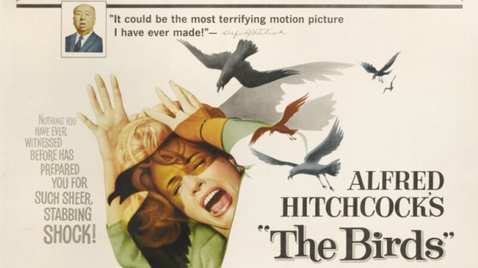 Das Filmplakat von "The Birds" 1963