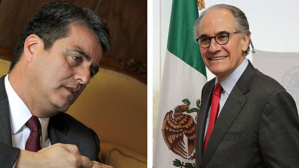 Einer von ihnen wird der neue WTO-Chef: Der Brasilianer Roberto Azevedo oder der Mexikaner Herminio Blanco.