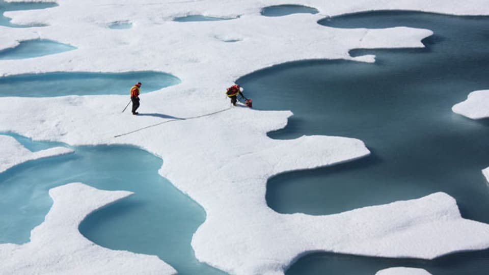 Der Klimawandel fordert seinen Preis: Schmelzendes Polareis, steigende Meeresspiegel,  Wirbelstürme, Dürren.