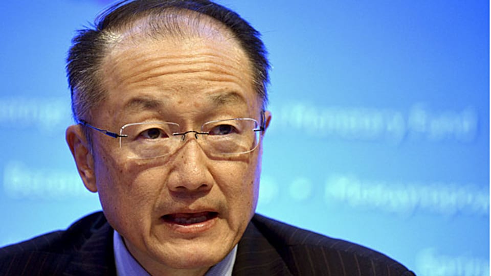 Experten sind besorgt, dass die neuen Regeln bei der Kreditvergabe zu mehr «Problem-Projekten» führen werden. Weltbank-Chef Jim Yong Kim scheint das in Kauf zu nehmen. Seine Bank kämpft gegen den Bedeutungsverlust.