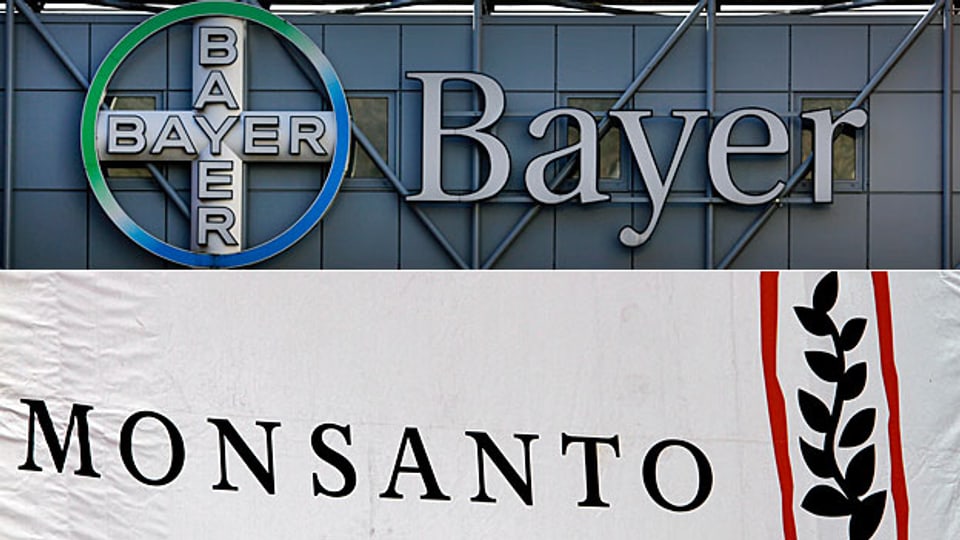 Dass Monsanto nun selbst Objekt der Begierde geworden ist, überrascht  - allerdings nur auf den ersten Blick.