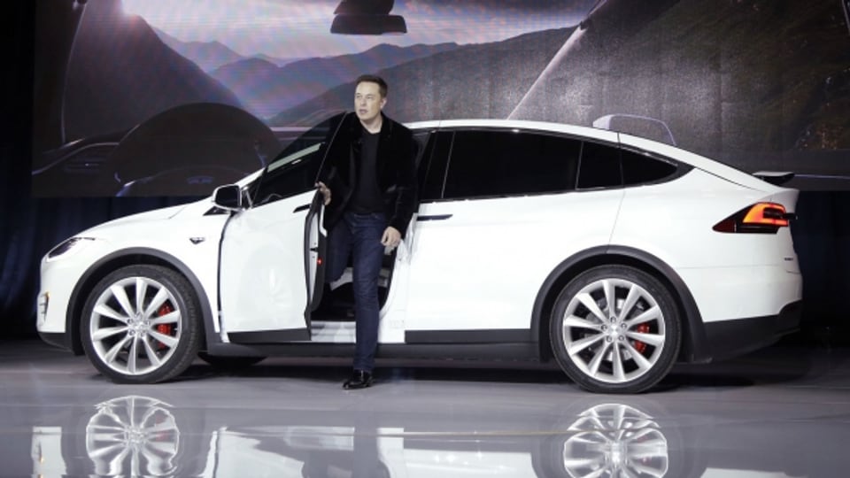 Tesla-Chef Elon Musk vor Fahrzeug.