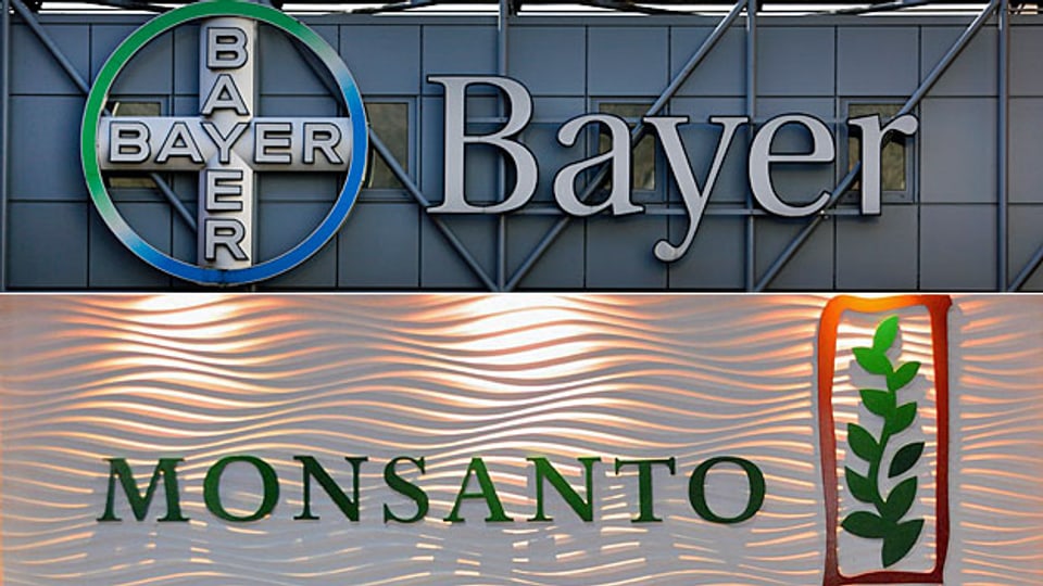 Bayer und Monsanto sind mit ihrer Fusion nicht allein: die Schweizer Syngenta wird gerade vom US-Staatskonzern ChemChina geschluckt, und in den USA entsteht durch die Verschmelzung von Dupont und Dow Chemical ein neuer Branchenführer.