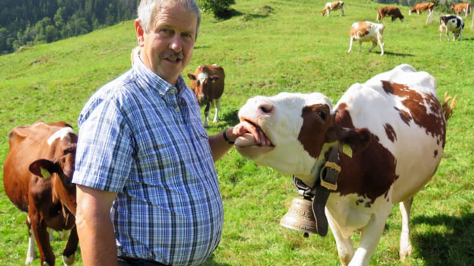 Bauer Hans Rösti in Kandersteg mit seiner Kuh Arlette.