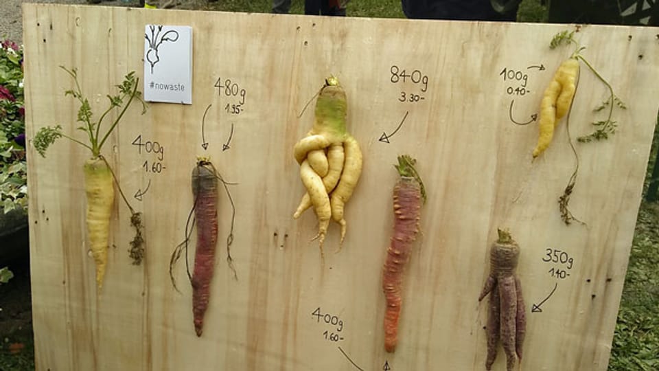 Ausstellung von ausserordentlichen Gemüse-Exponaten. Der Verein Grassrooted will verhindern, dass Gemüse, welches nicht der Norm entspricht, im Abfall landet.