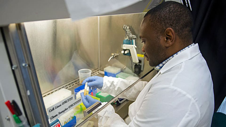 Ein Biologe forscht mit einem Serum - für eine europäische Studie zu einem Impfstoff gegen Ebola.