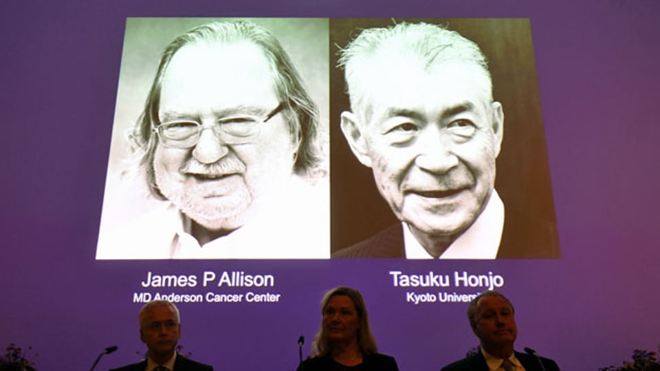 Bilder der Nobelpreisträger für Medizin 2018, James P. Allison (li) aus USA, und Tasuku Honjo aus Japan an der Pressekonferenz von Karolinska-Institut in Stockholm.