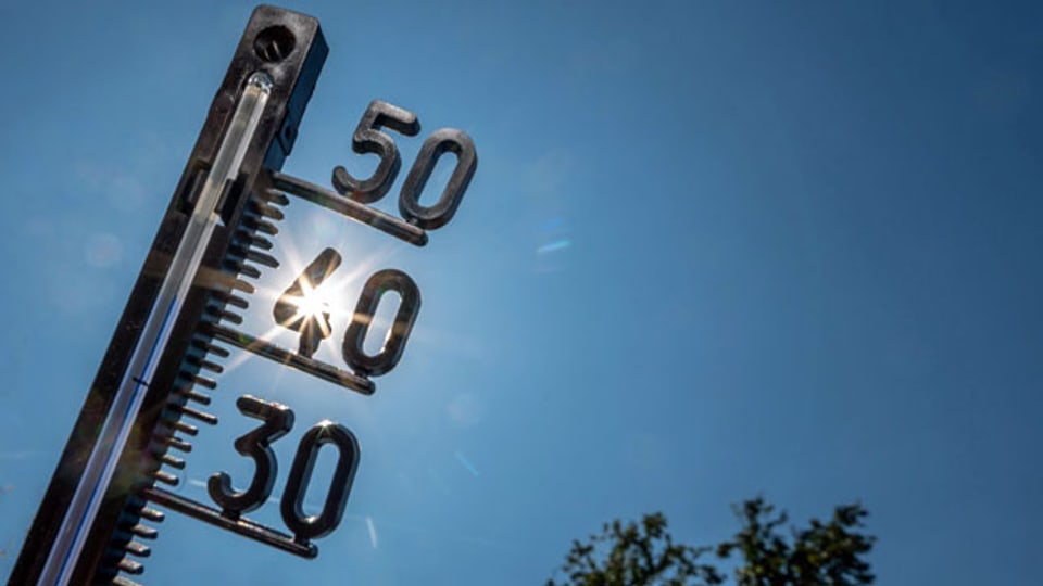 Rekord-Temperaturen am 24. Juli 2019 in Hessen, Deutschland. Symbolbild.