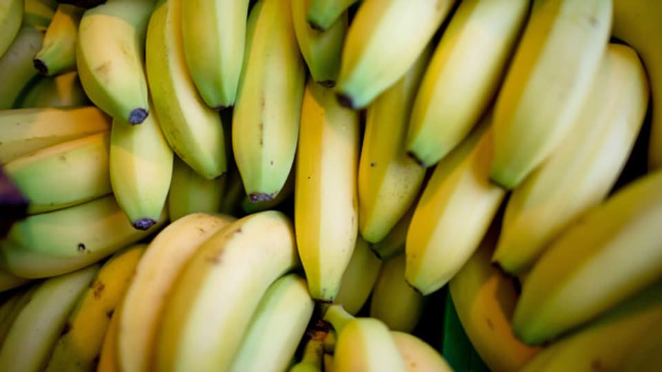 Bananen. Symbolbild.