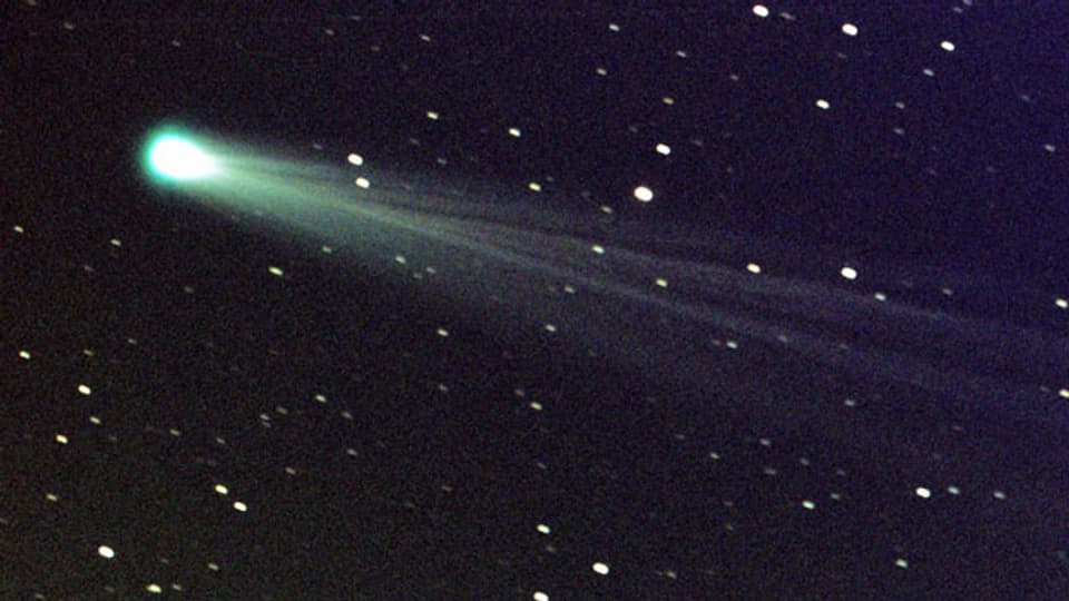 Der Comet ISON mit seinem Schwanz im November 2013.