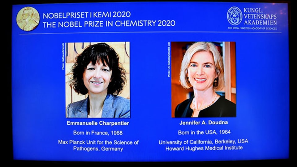 Emmanuelle Charpentier und Jennifer A. Doudna: Die Gewinnerinnen des Nobelpreises 2020 für Chemie.