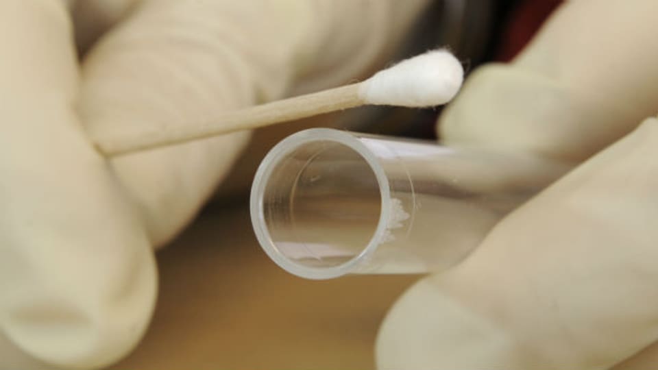 Führt die DNA-Spur am Wattestäbchen zum Täter?