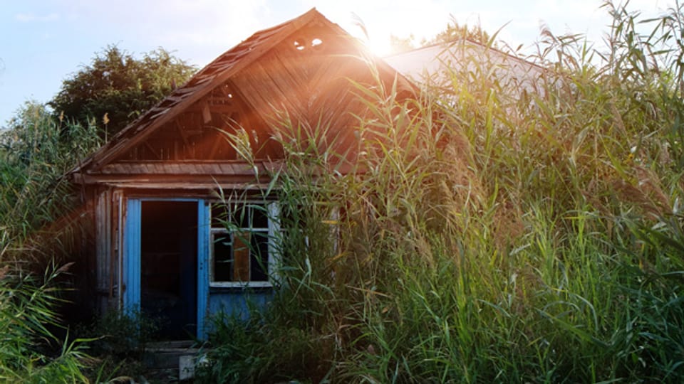 Eine Hütte im Amazonasgebiet.
