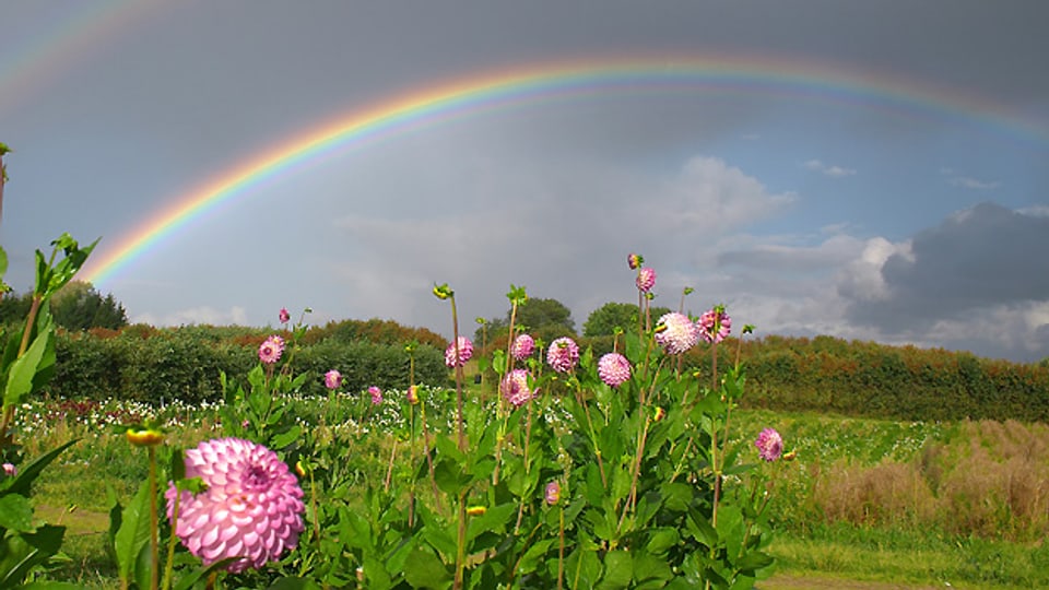 Regenbogen mit schwachem Nebenregenbogen, der eine umgekehrte Farbfolge aufweist.