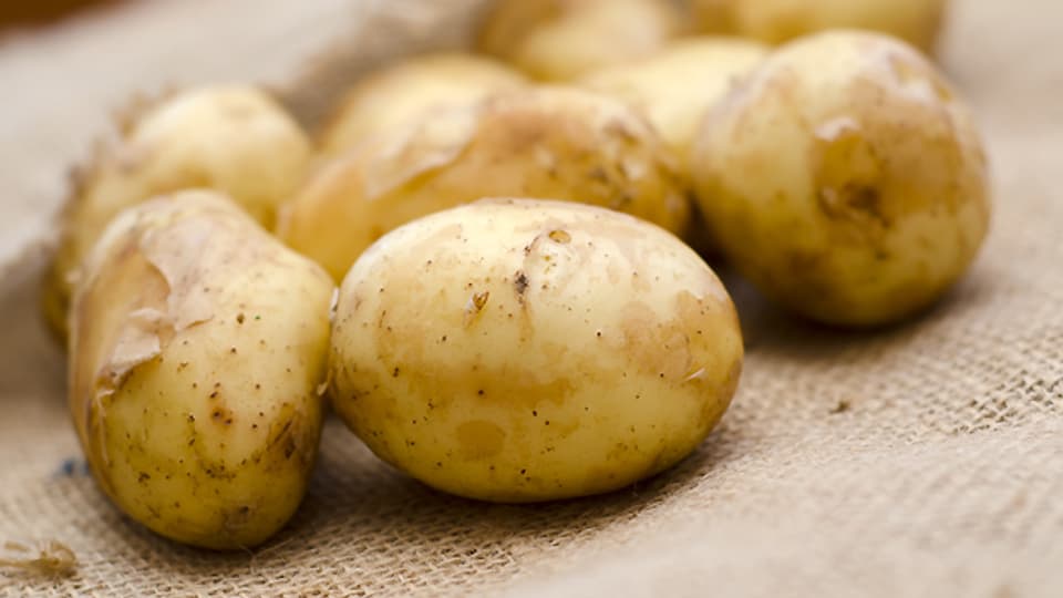 «Gschwellti», wie man in der Schweiz für in der Schale gekochte Kartoffeln sagt.