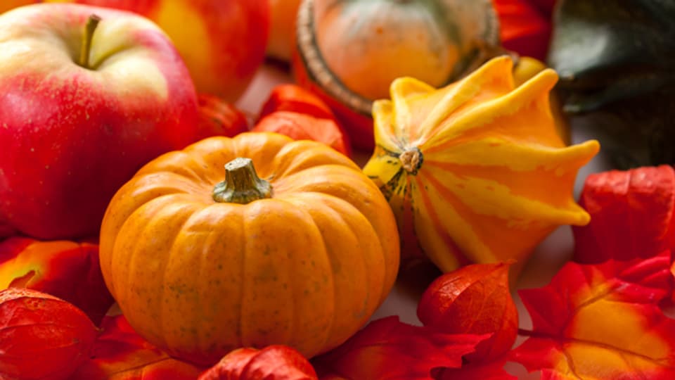 Der Herbst erfreut das Auge mit seinen warmen Farben.