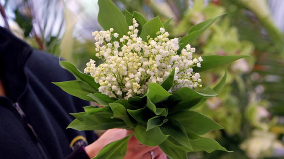 «Fiirabigmusig» im Wonnemonat Mai mit einem bunten Blumenstrauss Mailiedern.