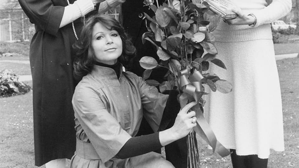 Ein Foto aus dem SRF-Archiv von 1975: Diese Rosen hat Piera Martell nicht etwa erhalten, sondern verschenkt und zwar an Kurt Felix, zu seinem 10-Jahr-Jubiläum als Mitarbeiter des Schweizer Fernsehens.