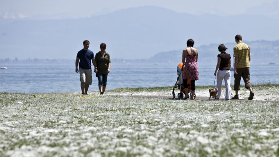 Menschen flanieren am Ufer des Bodensees in Arbon entlang.