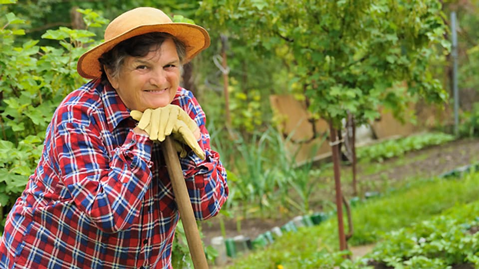 Gartenarbeit gehört zu den Tätigkeiten, die auch im Alter für ausreichend Bewegung sorgen.