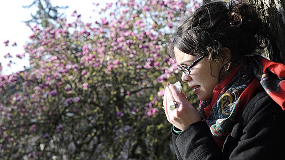 Pollenallergiker leiden vor allem im Frühjahr unter Niesattacken.